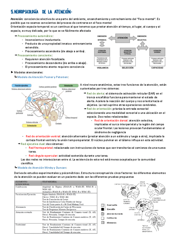 Miniatura del documento TEMA-5.pdf