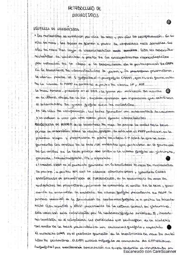 Miniatura del documento METABOLISMO-DE-NUCLEOTIDOS.pdf