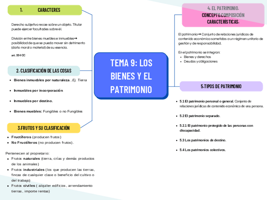 Miniatura del documento TEMA-9.-LOS-BIENES-Y-EL-PATRIMONIO.pdf