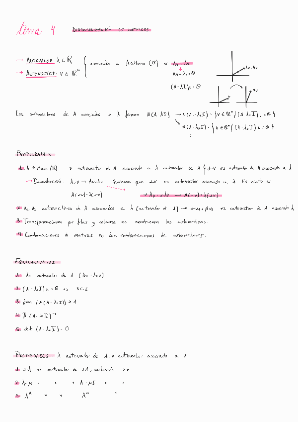 Miniatura del documento T4-diagonalizacion-de-matrices.pdf