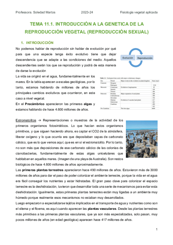 Miniatura del documento FV.TEMA-11-Genetica-de-la-reproduccio-vegetal.pdf
