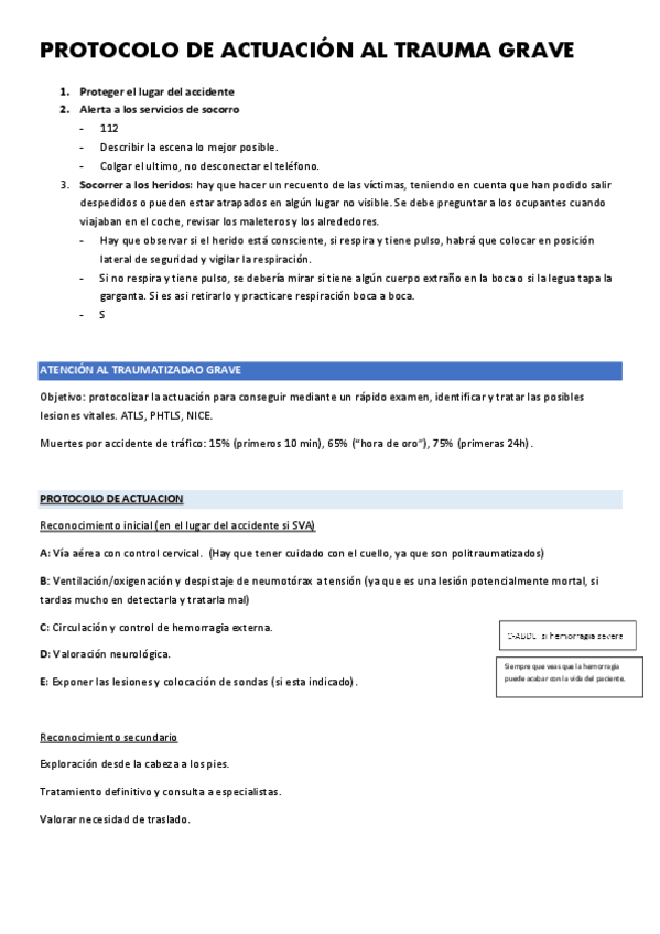 Miniatura del documento TRAUMATIZADO-GRAVE.pdf