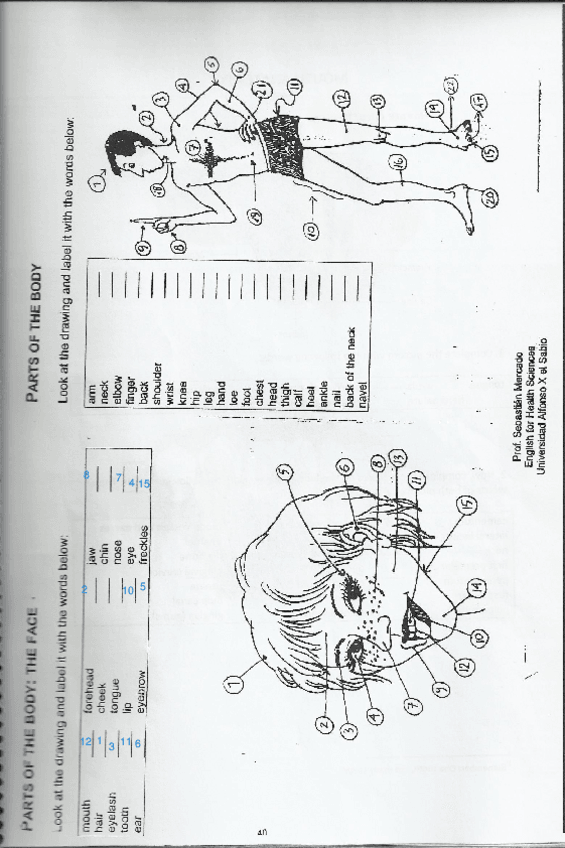 Miniatura del documento Parts-of-the-Body.pdf