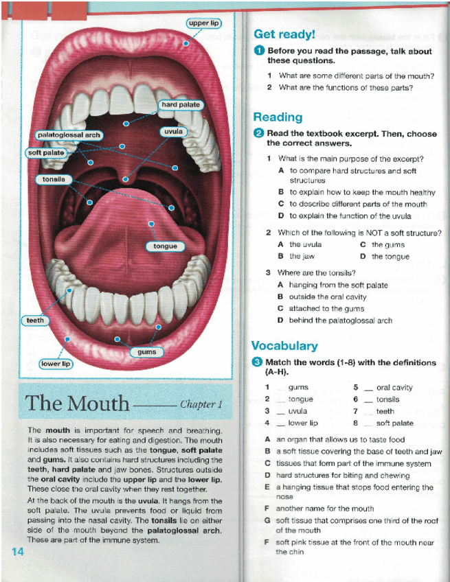 Miniatura del documento Dentistry-Units-6-and-7-The-Mouth-and-Teeth-Anatomy.pdf