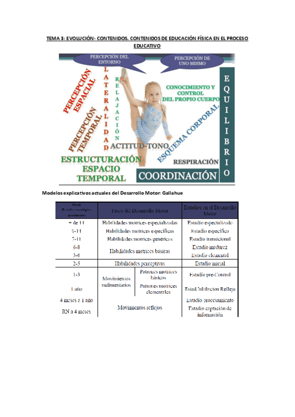 Miniatura del documento TEMA-2-evolucion-contenidos.pdf