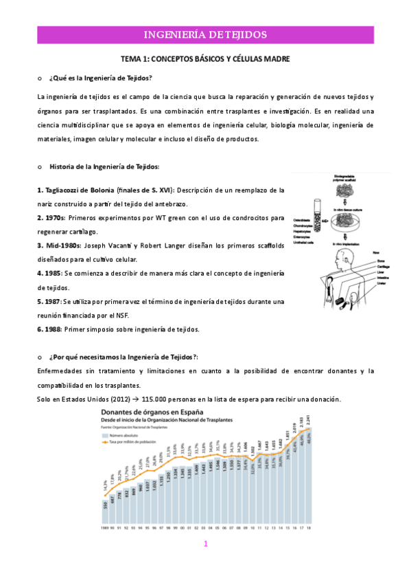 Miniatura del documento Apuntes Ingeniería de Tejidos.pdf