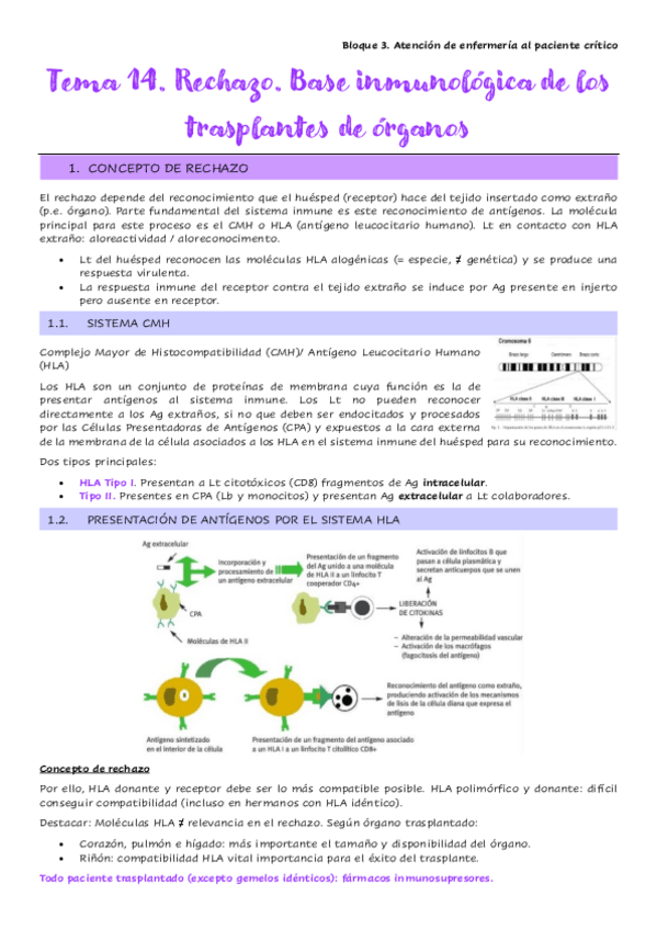 Miniatura del documento Tema-14.-Rechazo.-Base-inmunologica-de-los-trasplantes-de-organos.pdf