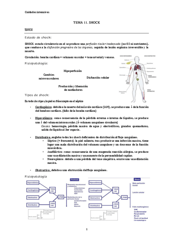 Miniatura del documento TEMA-11.-SHOCK.pdf