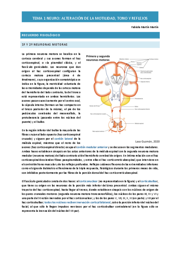 Miniatura del documento Tema-1-Neuro-PG.pdf