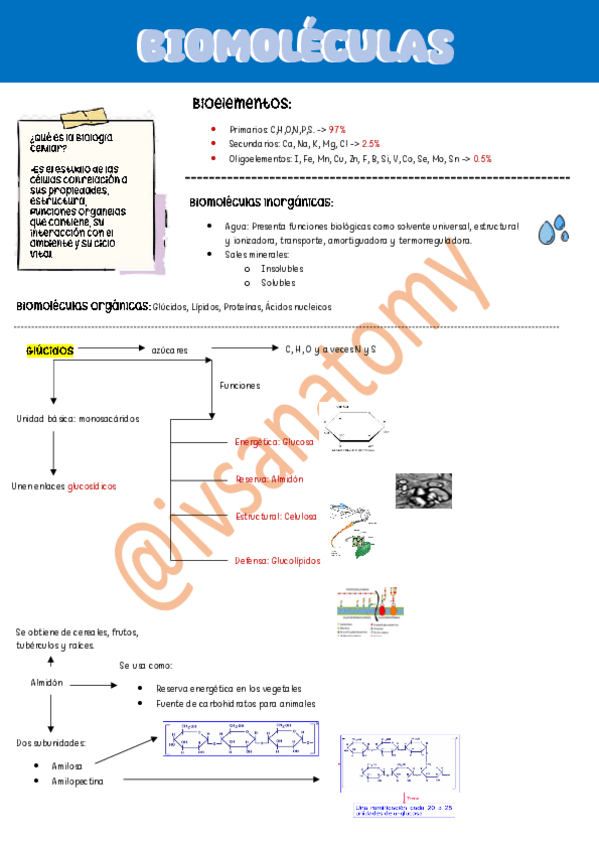 Miniatura del documento Biomoleculas.pdf