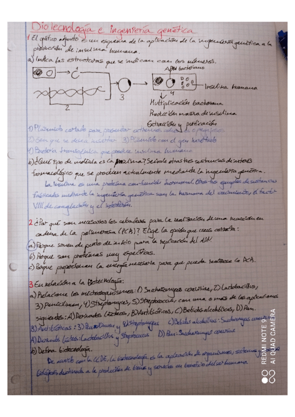 Miniatura del documento Ejercicios-de-Biotecnologia-e-ingenieria-genetica.pdf