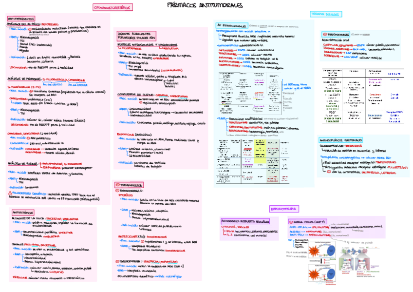 Miniatura del documento Esquemas (1º CUATRI).pdf