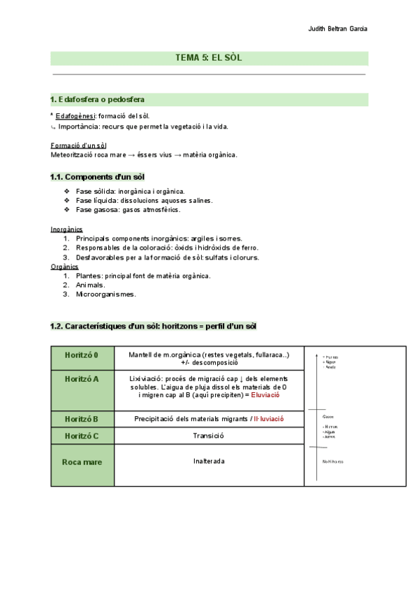 Miniatura del documento ELS-SOLS.pdf