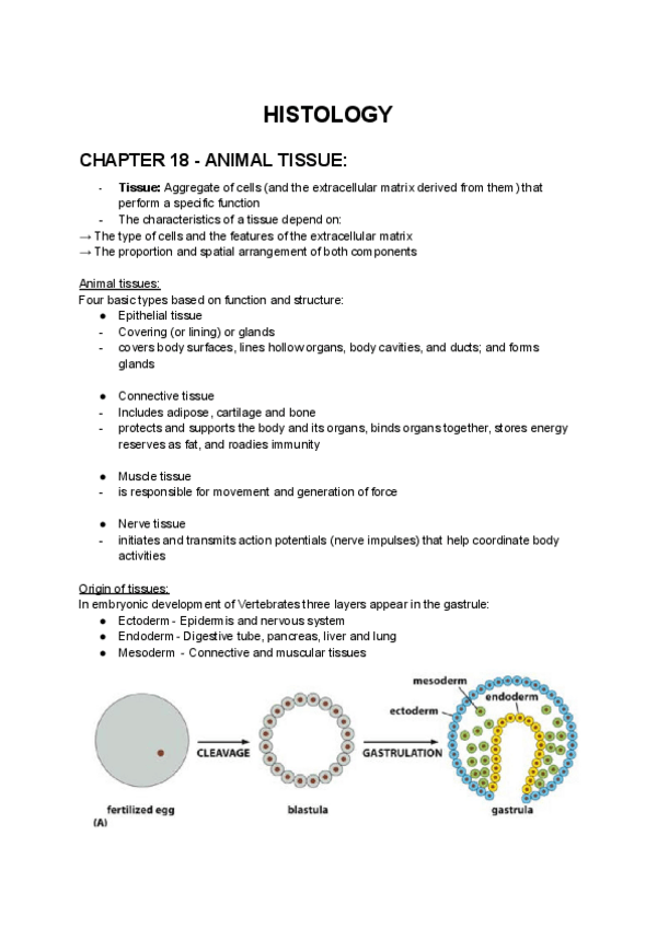 Miniatura del documento Histology-notes.pdf