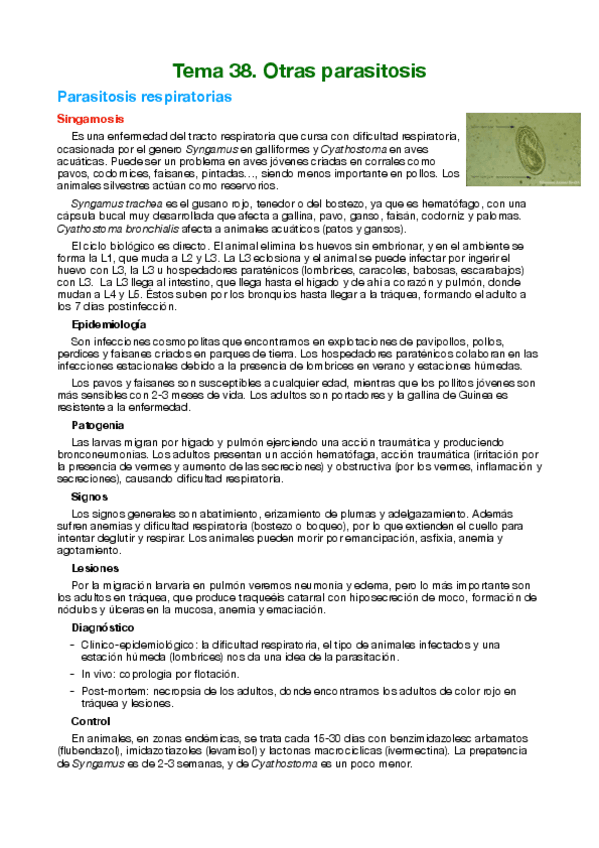 Miniatura del documento Tema-38-Otras-parasitosis.pdf