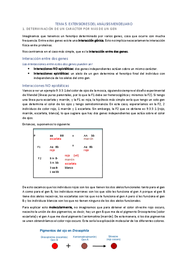 Miniatura del documento TEMA-5.pdf
