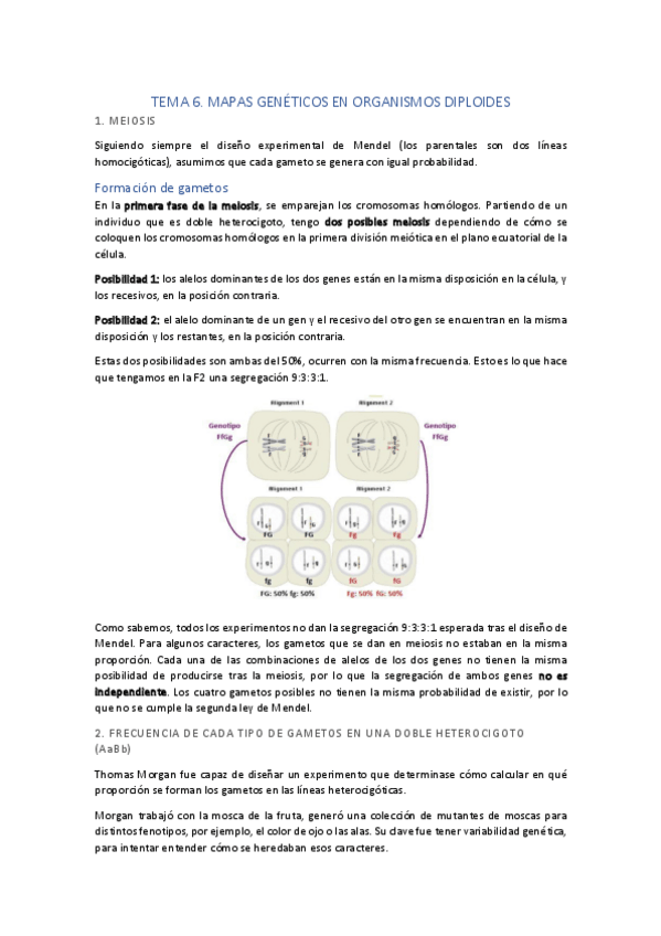 Miniatura del documento TEMA-6.pdf