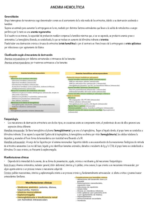 Miniatura del documento Anemia-hemolitica.pdf