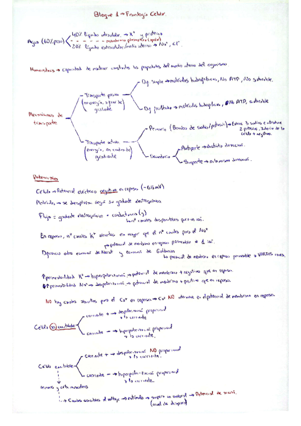 Miniatura del documento BLOQUE-I-FISIOLOGIA-CELULAR-POTENCIALES-Y-NEURONAS.pdf