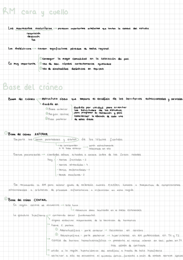 Miniatura del documento Cara-y-cuello-y-parte-de-musculo-esqueletico.pdf