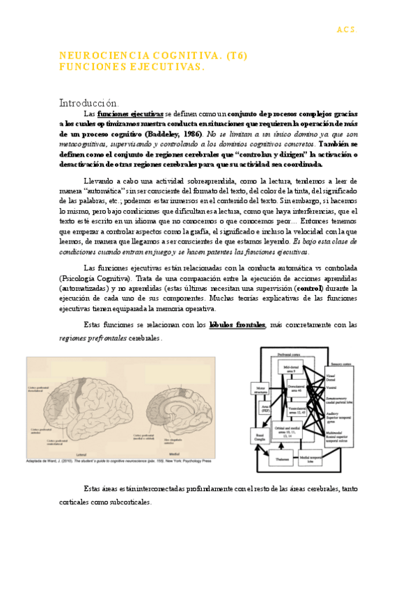 Miniatura del documento TEMA-6-NEUROCIENCIA-COGNITIVA.pdf