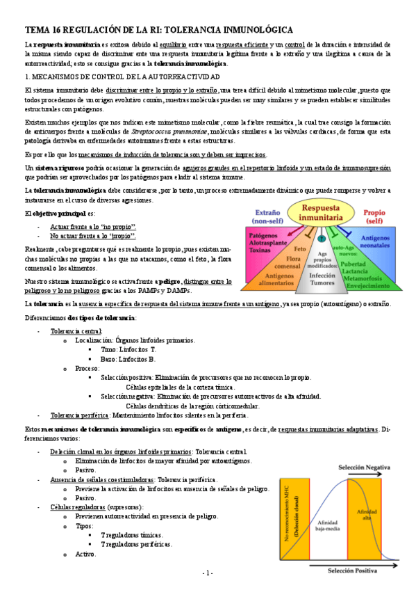 Miniatura del documento INMUNOLOGIA-TEMA-16-REGULACION-DE-LA-RI-TOLERANCIA-INMUNOLOGICA.pdf