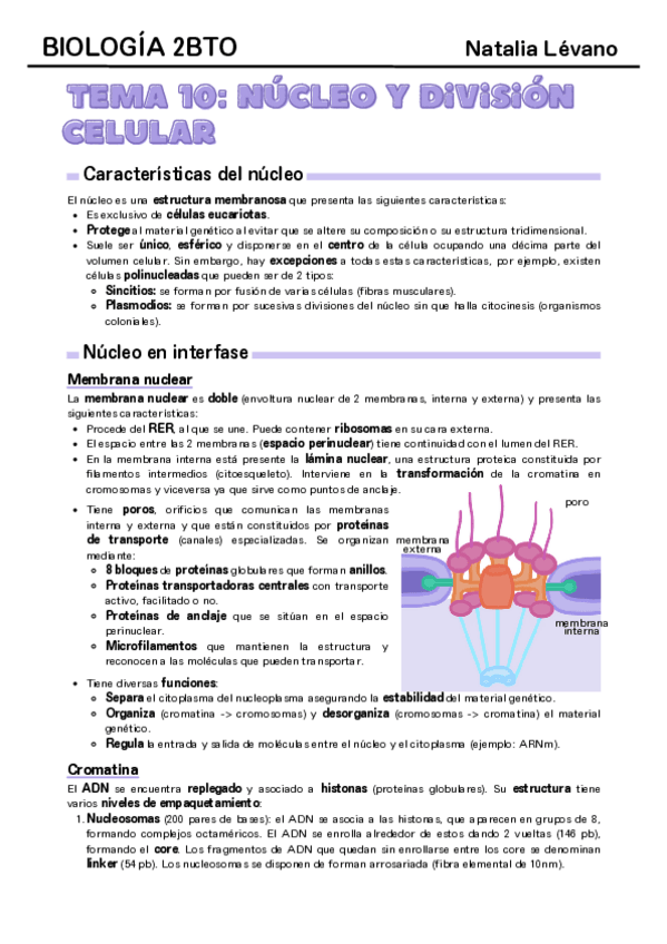 Miniatura del documento Tema-10-nucleo-y-division-celular.pdf