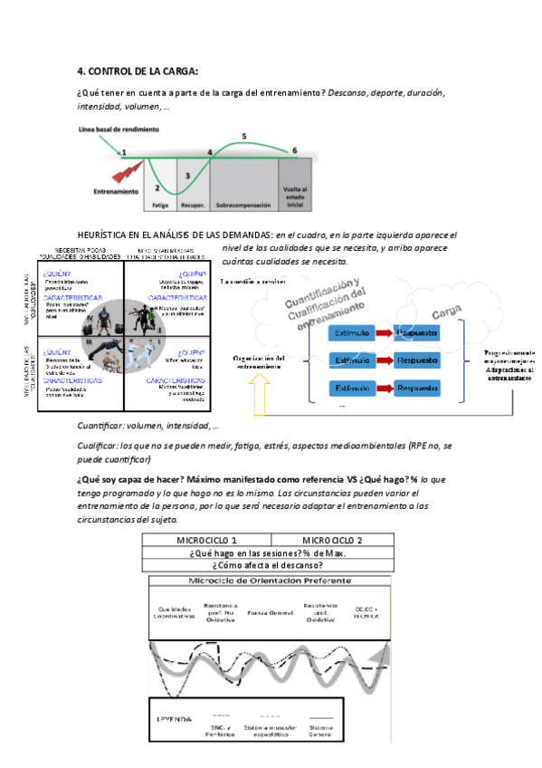 Miniatura del documento 4.-CARGA.pdf