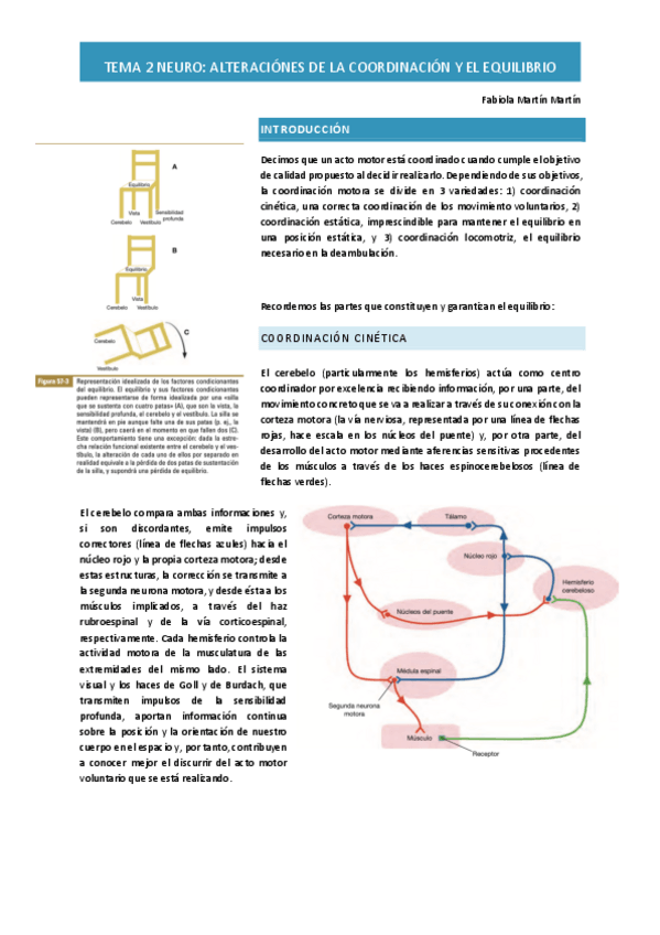 Miniatura del documento Tema-2-Neuro-PG-alteracion-de-la-coordinacion-y-del-equilibrio.pdf