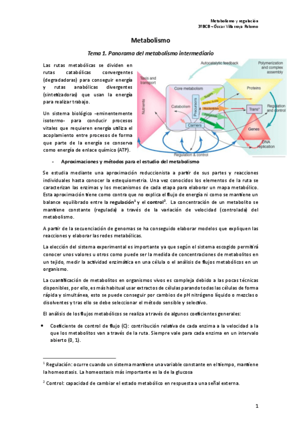Miniatura del documento Metabolismo.pdf