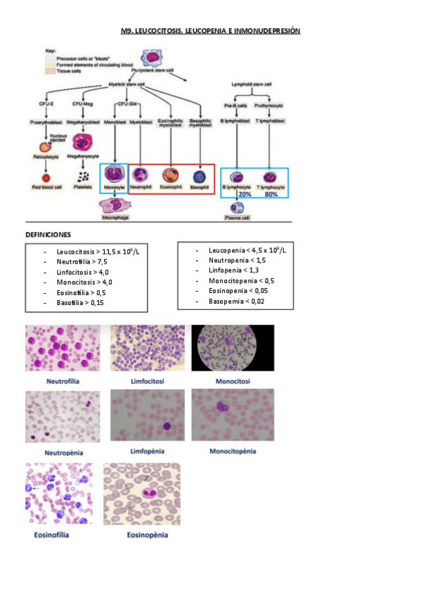 Miniatura del documento M9.-Leucocitosis-leucopenia-e-inmunodepresion.pdf