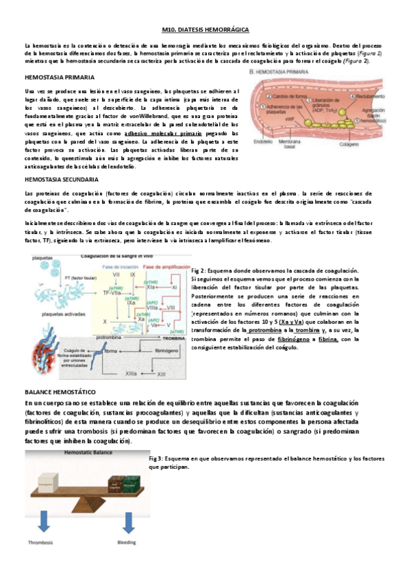 Miniatura del documento M10.-DIATESIS-HEMORRAGICA.pdf