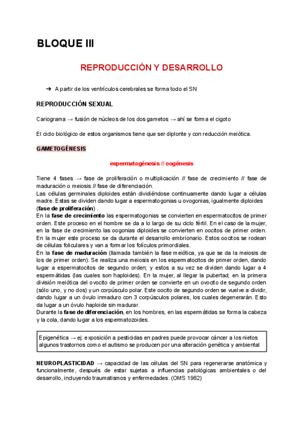 Miniatura del documento parte-nelida-bloque-iii.pdf