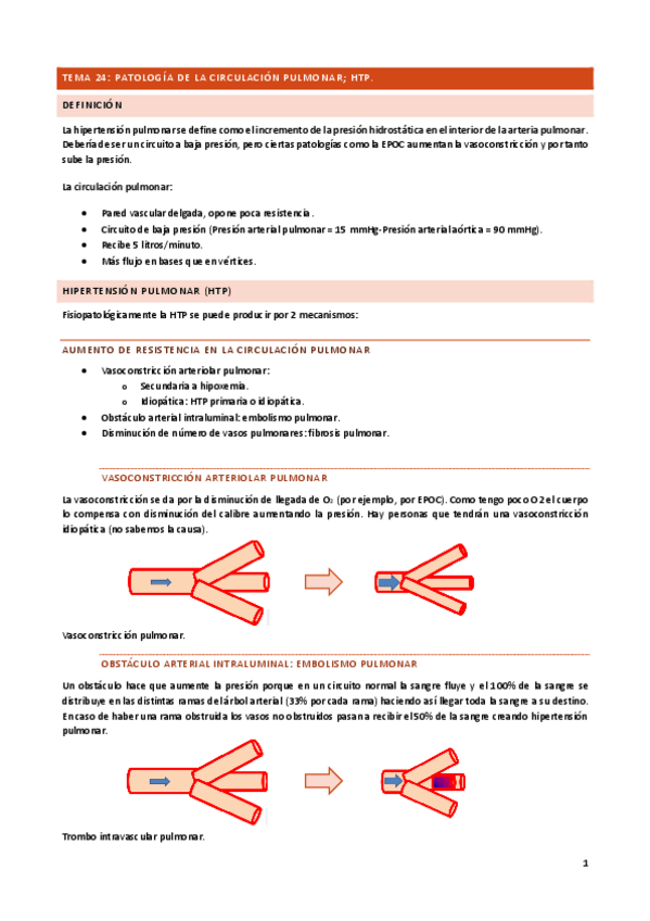 Miniatura del documento Tema-24.pdf