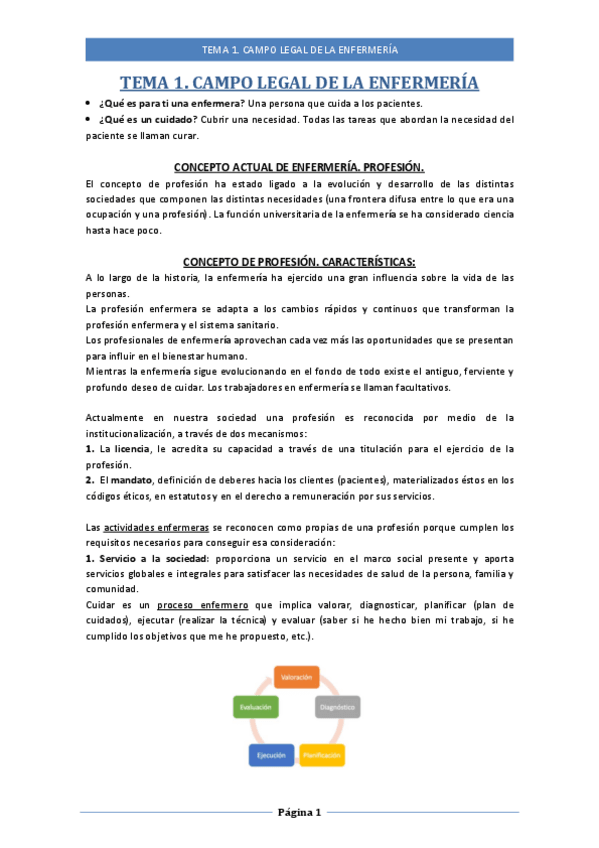 Miniatura del documento Tema-1.-Campo-legal-de-la-enfermeria.pdf