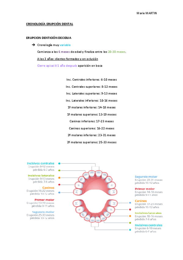 Miniatura del documento Erupción dental.pdf