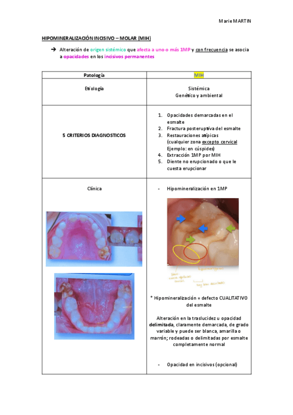 Miniatura del documento MIH.pdf