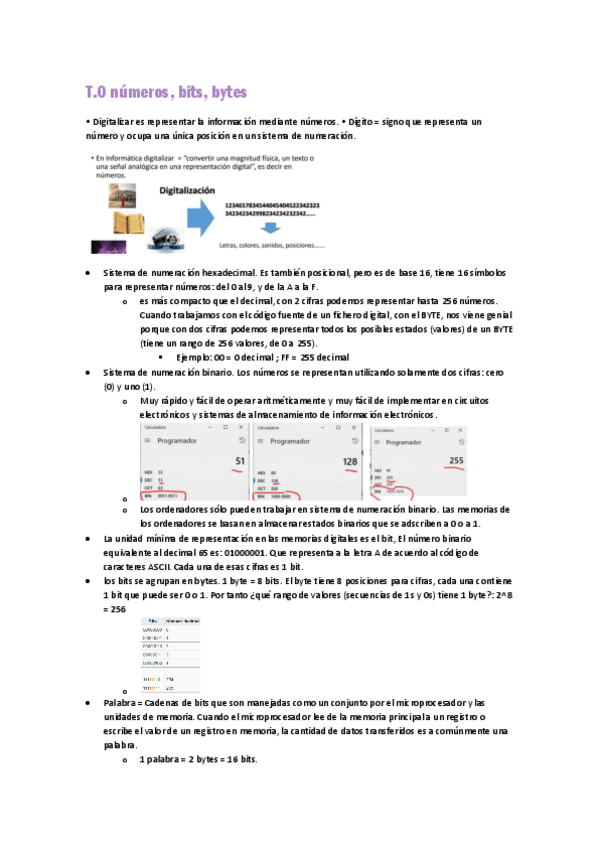 Miniatura del documento APUNTES-CONSERVACION-Y-PRESERVACION-DIGITAL.pdf