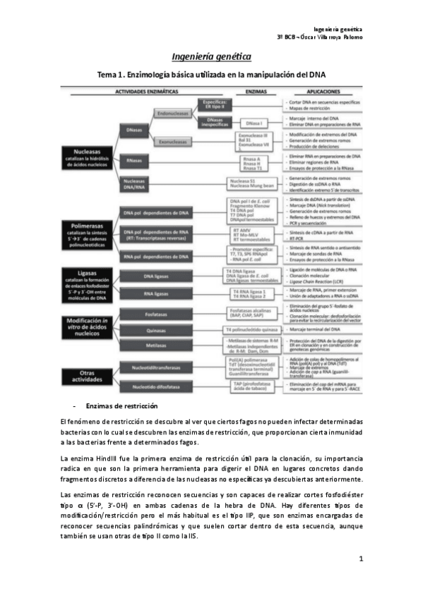 Miniatura del documento Ingenieria-genetica.pdf