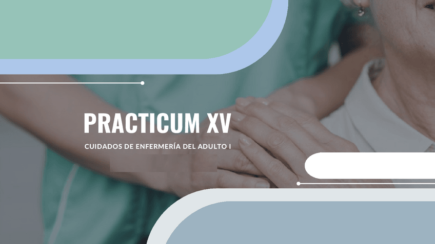 Miniatura del documento PRESENTACION-XV.pdf