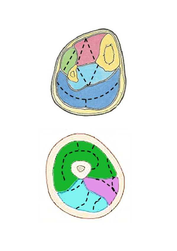 Miniatura del documento MAPA-MUDO-SECCION-MMII.pdf