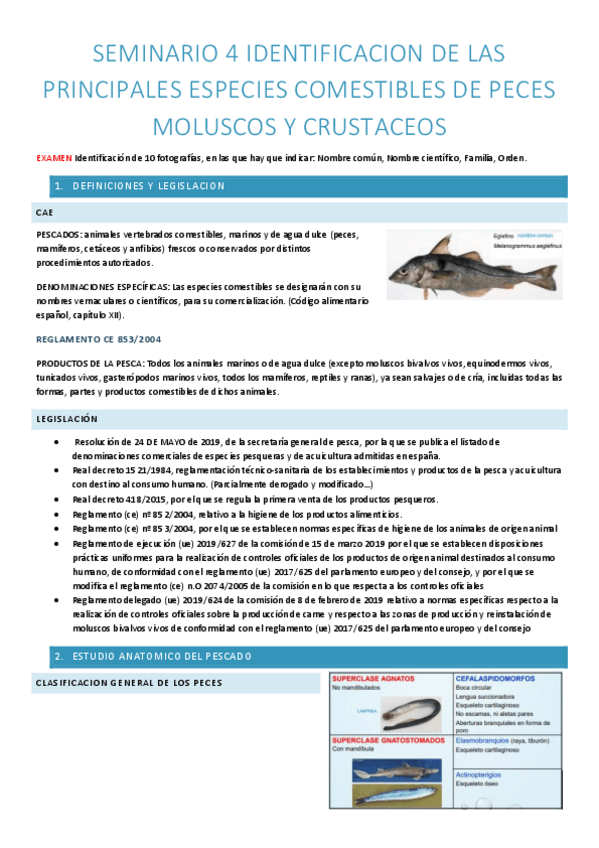 Miniatura del documento SEM-4-reconocimiento-e-identificacion-de-especies-de-peces.pdf
