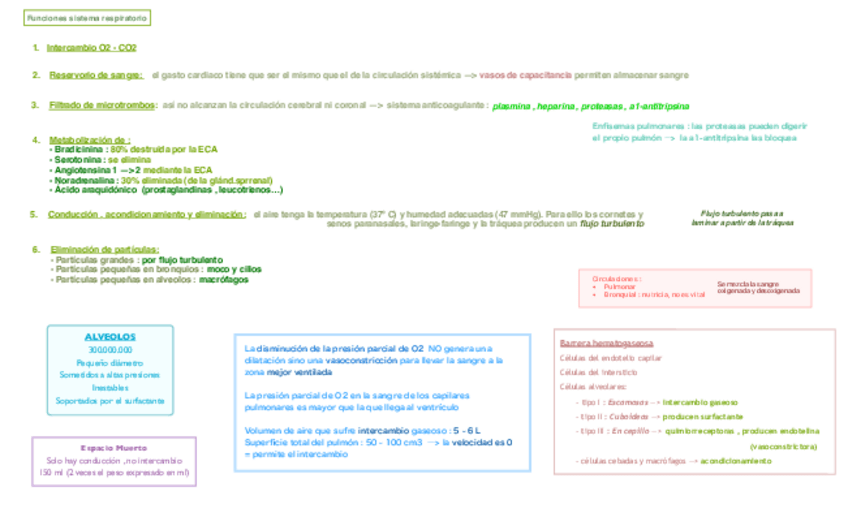 Miniatura del documento Tema-1-Respiratorio.pdf