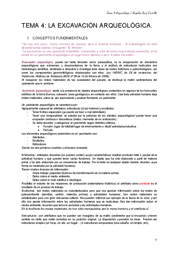Miniatura del documento TEMA-4-ARQUEOLOGIA-COMPLETO.pdf