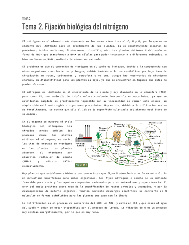 Miniatura del documento Tema-2.-Fijacion-biologica-del-nitrogeno.pdf