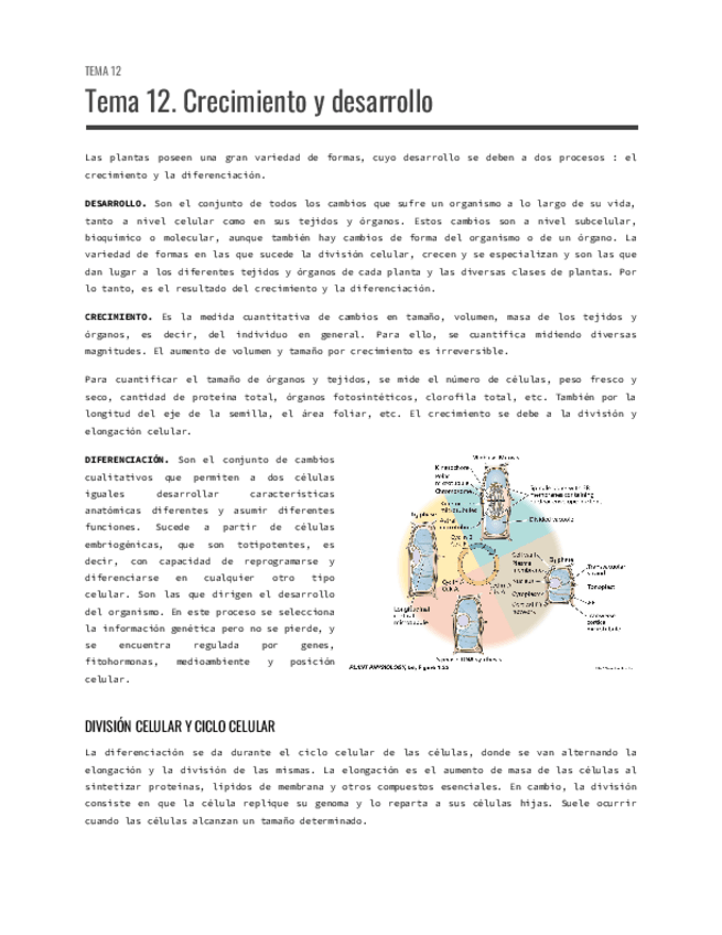 Miniatura del documento Tema-12.-Crecimiento-y-desarrollo.pdf
