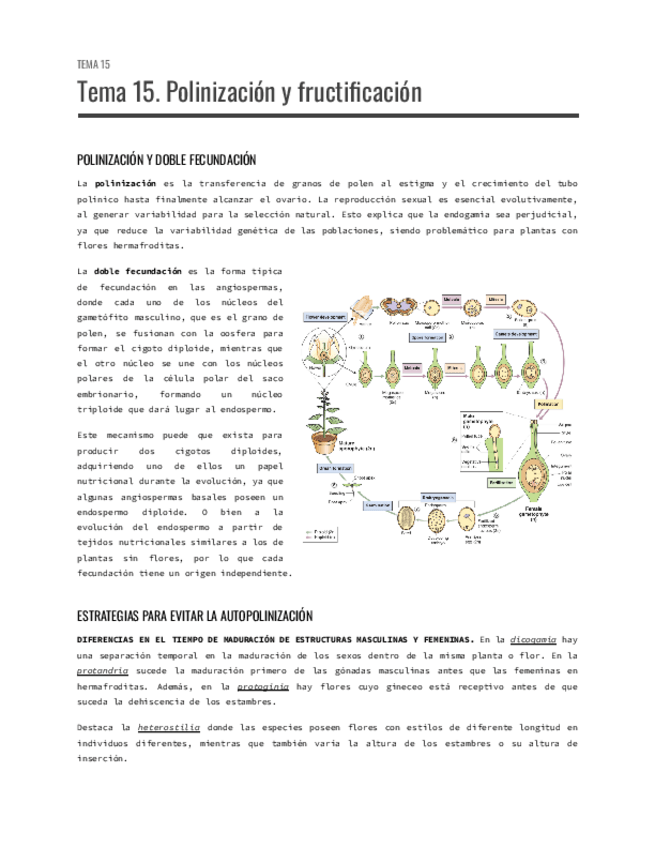 Miniatura del documento Tema-15.-Polinizacion-y-fructificacion.pdf