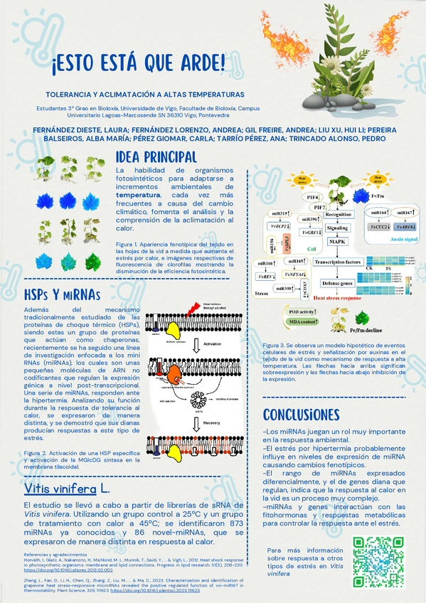 Miniatura del documento Seminario-F.-Vegetal II-Poster.pdf