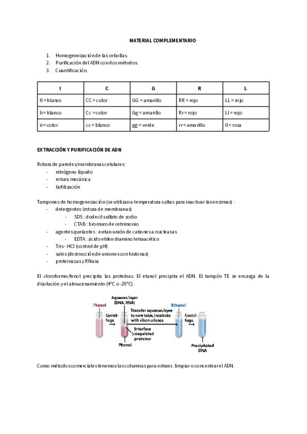 Miniatura del documento Apuntes-Genetica.pdf
