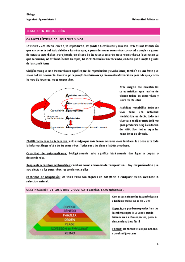 Miniatura del documento Tema-1.-Introduccion..pdf
